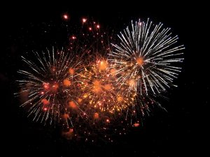 dogs and fireworks